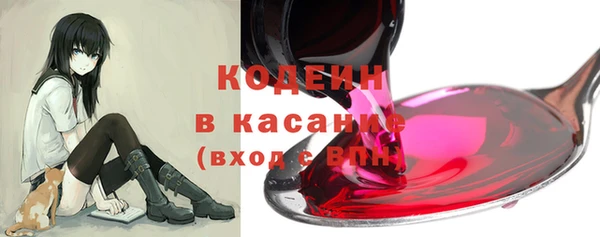 соль ск Заводоуковск