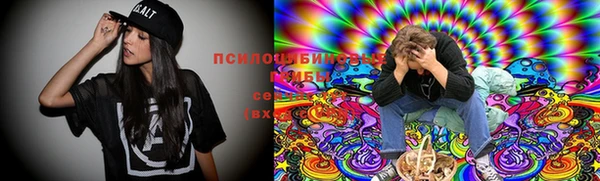 соль ск Заводоуковск