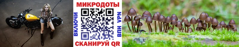 Купить где  Клин  Псилоцибиновые грибы мухоморы 